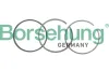 Kolbenringsatz Borsehung B19035
