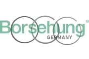 Kolbenringsatz Borsehung B19042