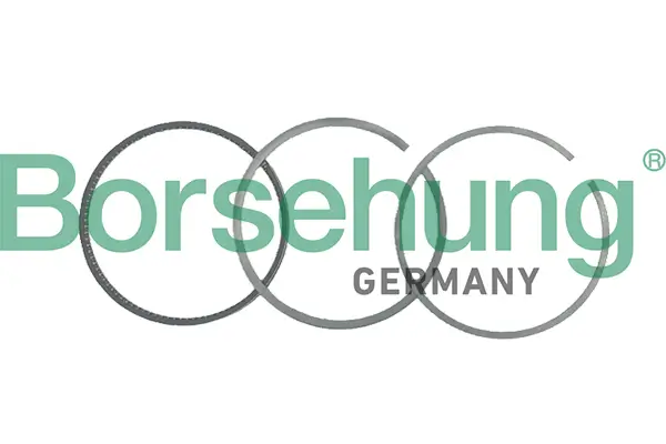 Kolbenringsatz Borsehung B19044