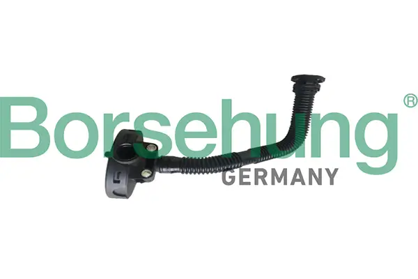 Ventil, Kurbelgehäuseentlüftung Borsehung B19055