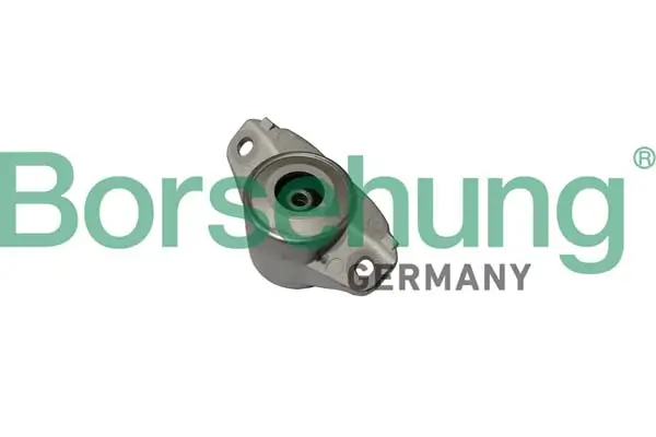Federbeinstützlager oben Hinterachse Borsehung B19062