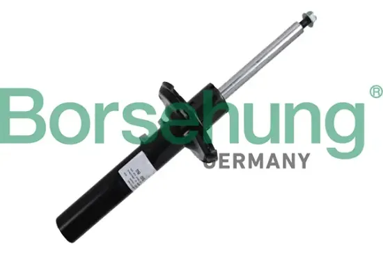Stoßdämpfer Vorderachse Borsehung B19083 Bild Stoßdämpfer Vorderachse Borsehung B19083