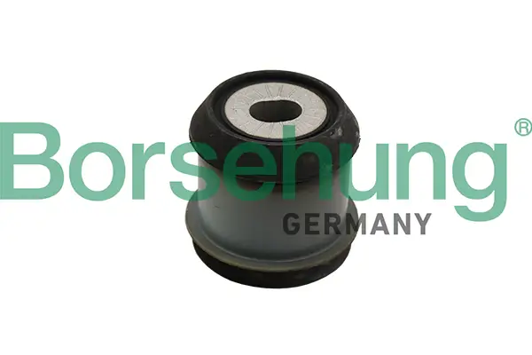Lagerung, Achskörper Hinterachse links Borsehung B19106