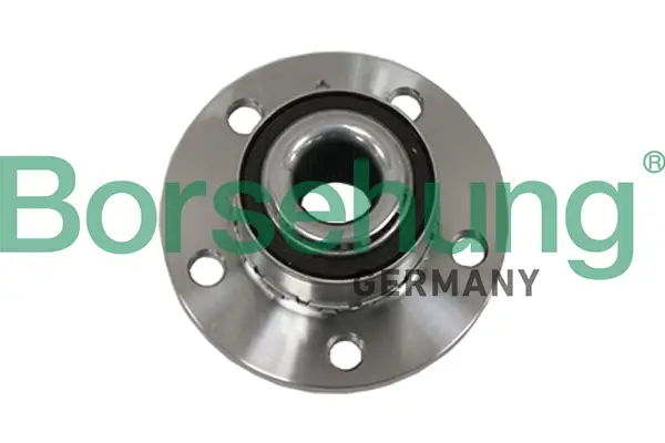 Radlagersatz vorne Borsehung B19117