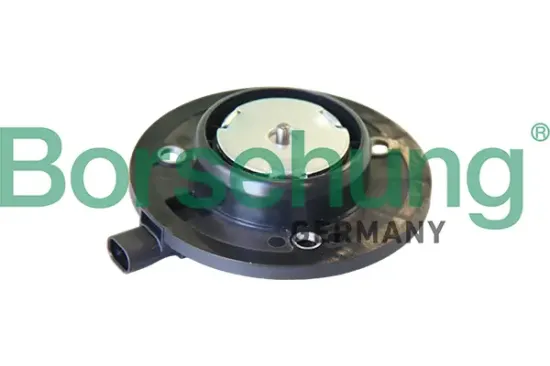 Zentralmagnet, Nockenwellenverstellung Borsehung B19124 Bild Zentralmagnet, Nockenwellenverstellung Borsehung B19124
