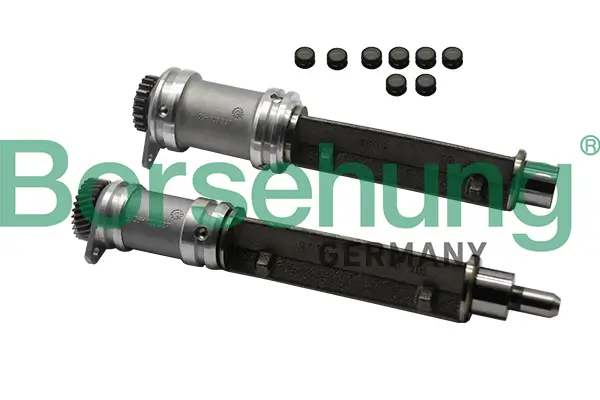 Arretierdorn, Ausgleichswelle Borsehung B19132