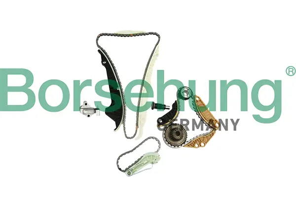 Steuerkettensatz Borsehung B19254