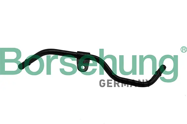 Ansaugschnorchel Borsehung B19265