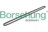Steuerkette Borsehung B1C019
