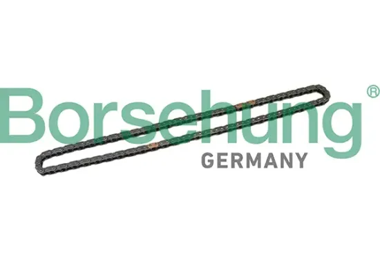 Steuerkette Borsehung B1C025 Bild Steuerkette Borsehung B1C025