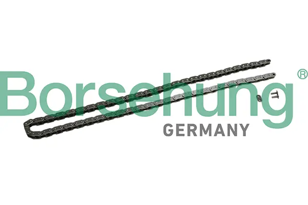 Steuerkette Borsehung B1C027