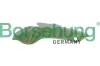 Gleitschiene, Steuerkette Borsehung B1G049