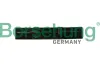 Gleitschiene, Steuerkette Borsehung B1G056