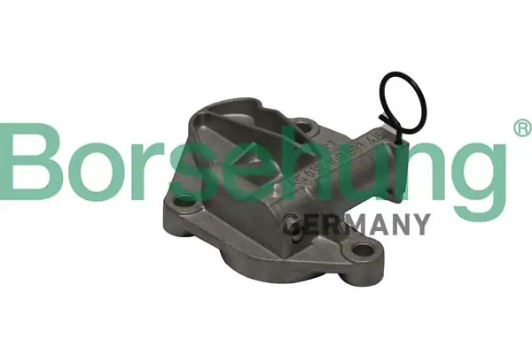 Spanner, Steuerkette Borsehung B1T003