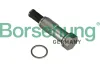 Spanner, Steuerkette Borsehung B1T020