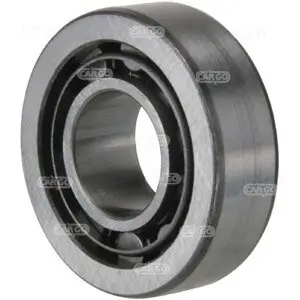 Schleifringlager, Generator HC-Cargo F032140515