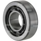 Schleifringlager, Generator HC-Cargo F032140515