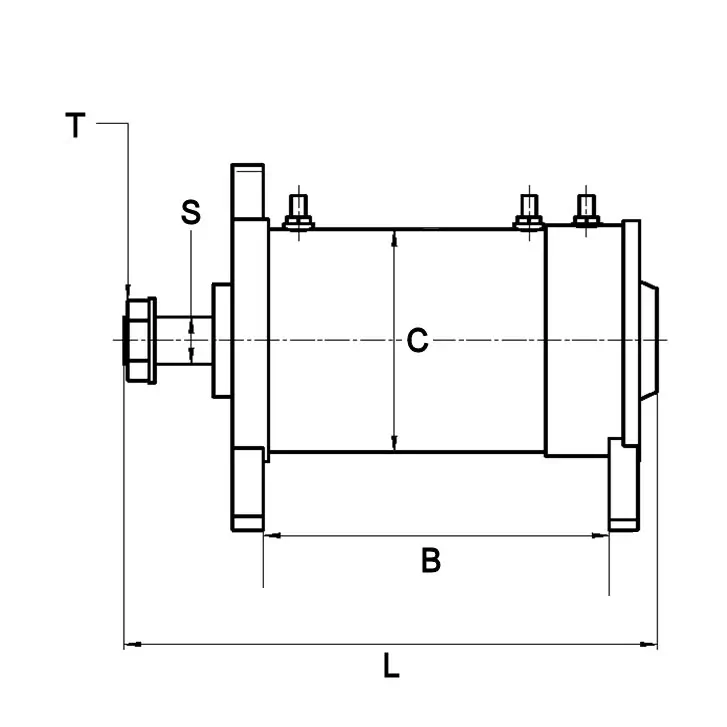 Kohlebürste, Starter 24 V HC-Cargo F032900038