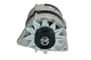 Kohlebürste, Starter 12 V HC-Cargo F0320RX604