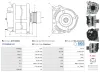 Generator 12 V AS-PL A01173(SEG) Bild Generator 12 V AS-PL A01173(SEG)