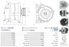 Generator 12 V AS-PL A01254(SEG) Bild Generator 12 V AS-PL A01254(SEG)
