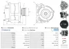Generator 12 V AS-PL A01321(SEG) Bild Generator 12 V AS-PL A01321(SEG)