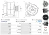 Generator 12 V AS-PL A01331(SEG) Bild Generator 12 V AS-PL A01331(SEG)