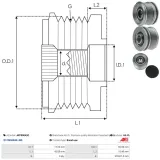 Generatorfreilauf AS-PL AFP3019(V)