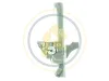 Fensterheber hinten links Ac Rolcar 01.8103