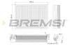 Luftfilter BREMSI FA0557