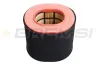 Luftfilter BREMSI FA2547