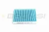 Filter, Innenraumluft BREMSI FC0891