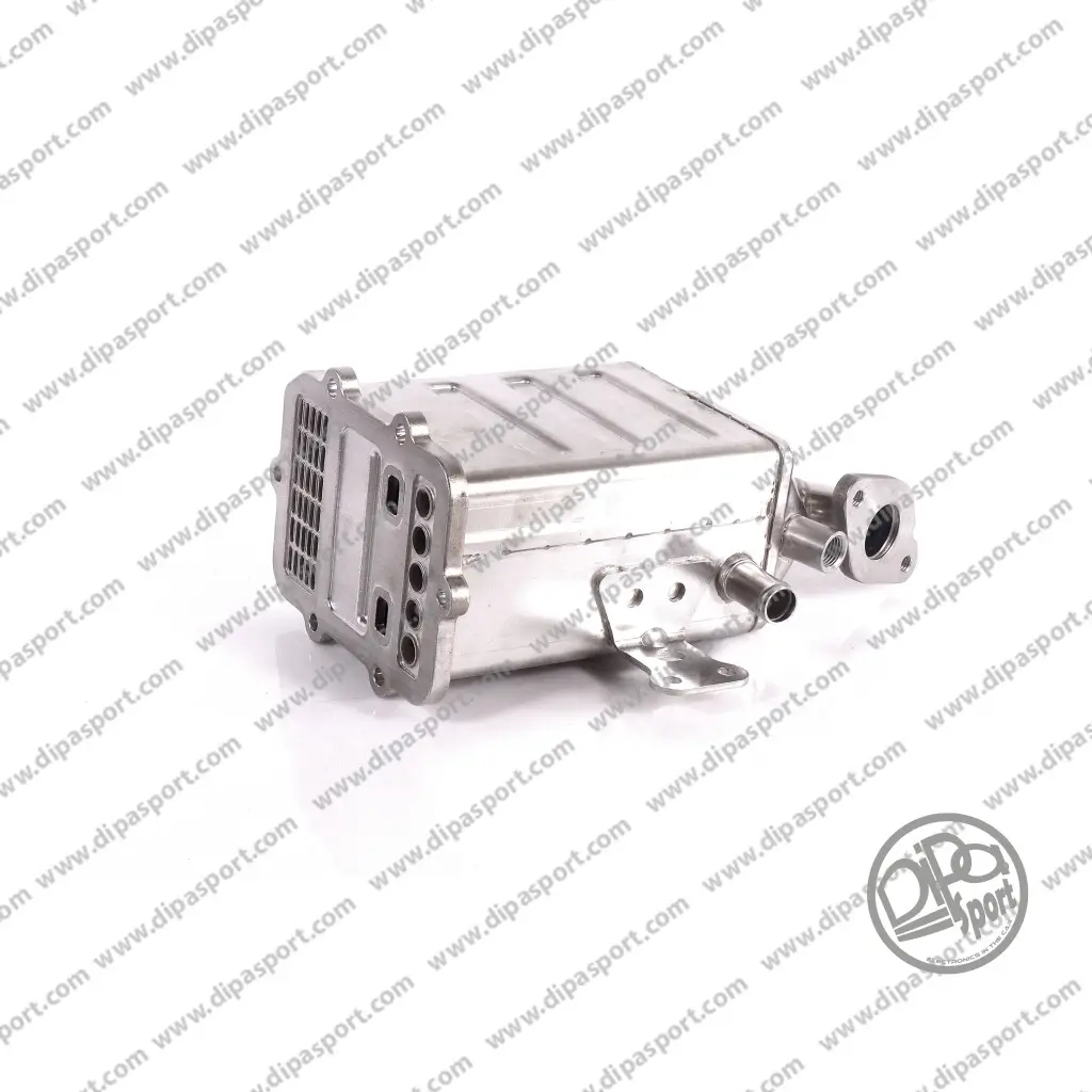 AGR-Modul DIPASPORT EGR313DPSN