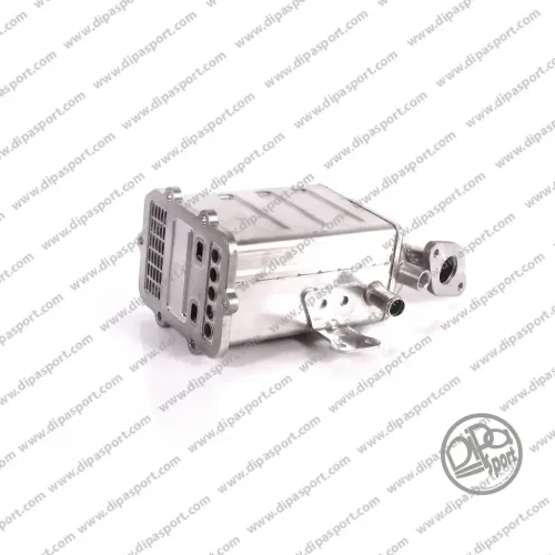 AGR-Modul DIPASPORT EGR313DPSN Bild AGR-Modul DIPASPORT EGR313DPSN