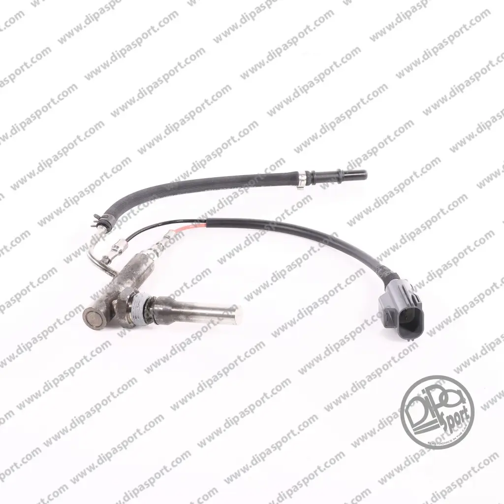 Einspritzeinheit, Ruß-/Partikelfilterregeneration DIPASPORT INJU010DPSN