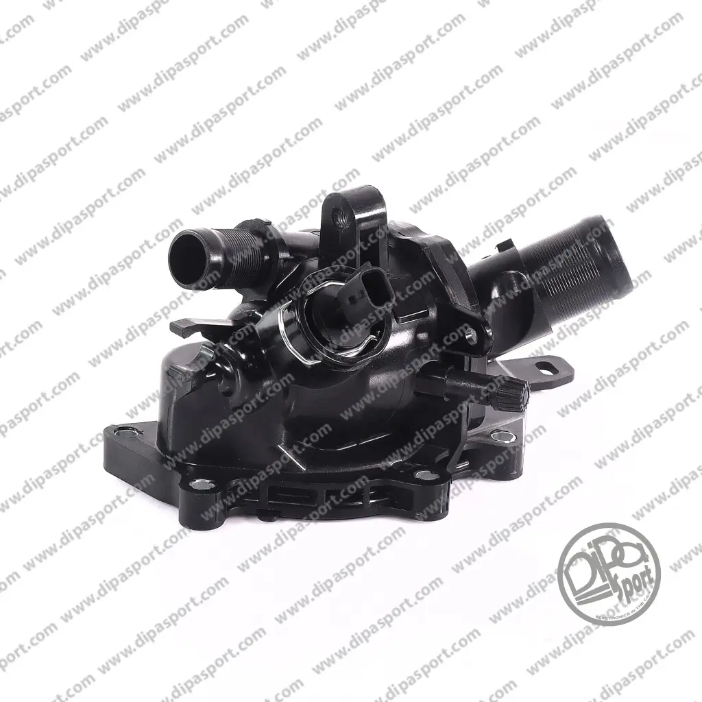 Thermostatgehäuse DIPASPORT TRM289DPSN