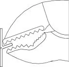 Feststellzange GEDORE 137 7 Bild Feststellzange GEDORE 137 7