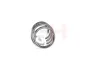 Fahrwerksfeder Vorderachse GH GH-2025336 Bild Fahrwerksfeder Vorderachse GH GH-2025336