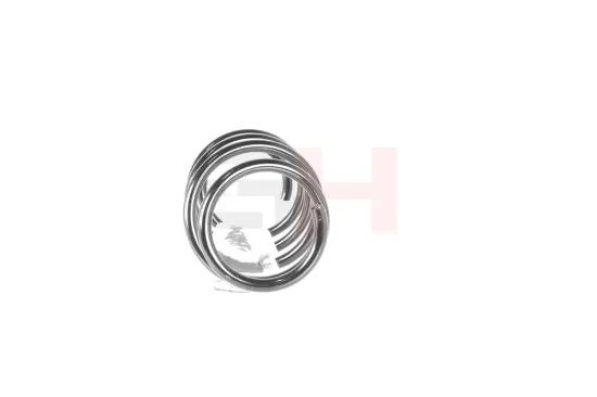 Fahrwerksfeder Vorderachse GH GH-2025336 Bild Fahrwerksfeder Vorderachse GH GH-2025336