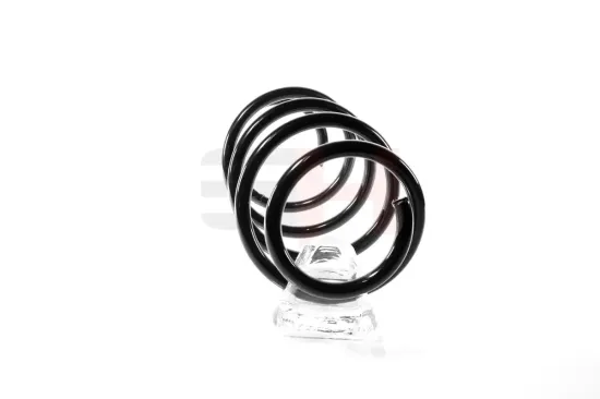 Fahrwerksfeder Vorderachse Vorderachse rechts Vorderachse links GH GH-204193 Bild Fahrwerksfeder Vorderachse Vorderachse rechts Vorderachse links GH GH-204193