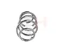 Fahrwerksfeder Vorderachse GH GH-2099143 Bild Fahrwerksfeder Vorderachse GH GH-2099143