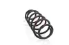 Fahrwerksfeder Hinterachse Hinterachse rechts Hinterachse links GH GH-221904 Bild Fahrwerksfeder Hinterachse Hinterachse rechts Hinterachse links GH GH-221904