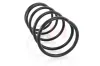 Fahrwerksfeder Hinterachse Hinterachse rechts Hinterachse links GH GH-222207 Bild Fahrwerksfeder Hinterachse Hinterachse rechts Hinterachse links GH GH-222207