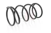 Fahrwerksfeder Hinterachse Hinterachse rechts Hinterachse links GH GH-222207 Bild Fahrwerksfeder Hinterachse Hinterachse rechts Hinterachse links GH GH-222207