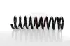 Fahrwerksfeder Hinterachse Hinterachse rechts Hinterachse links GH GH-223304