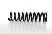 Fahrwerksfeder Hinterachse Hinterachse rechts Hinterachse links GH GH-223304