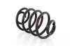 Fahrwerksfeder Hinterachse Hinterachse rechts Hinterachse links GH GH-223612 Bild Fahrwerksfeder Hinterachse Hinterachse rechts Hinterachse links GH GH-223612