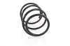 Fahrwerksfeder Hinterachse Hinterachse rechts Hinterachse links GH GH-229305 Bild Fahrwerksfeder Hinterachse Hinterachse rechts Hinterachse links GH GH-229305