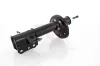 Stoßdämpfer Hinterachse Hinterachse rechts GH GH-323281H Bild Stoßdämpfer Hinterachse Hinterachse rechts GH GH-323281H