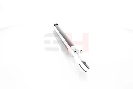 Stoßdämpfer Hinterachse Hinterachse rechts Hinterachse links GH GH-332549 Bild Stoßdämpfer Hinterachse Hinterachse rechts Hinterachse links GH GH-332549